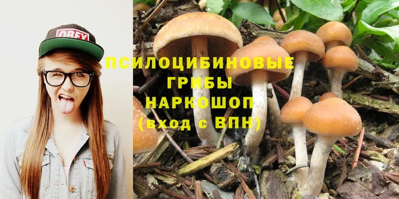 Галлюциногенные грибы Psilocybine cubensis  Заводоуковск 